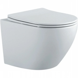 Унитаз подвесной Aquatek ЕВРОПА безободковый AQ1901-MW белый матовый