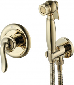 Гигиенический душ Lemark Brava LM4719G со смесителем, С ВНУТРЕННЕЙ ЧАСТЬЮ