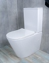 Напольный унитаз с бачком Gid Tr2179